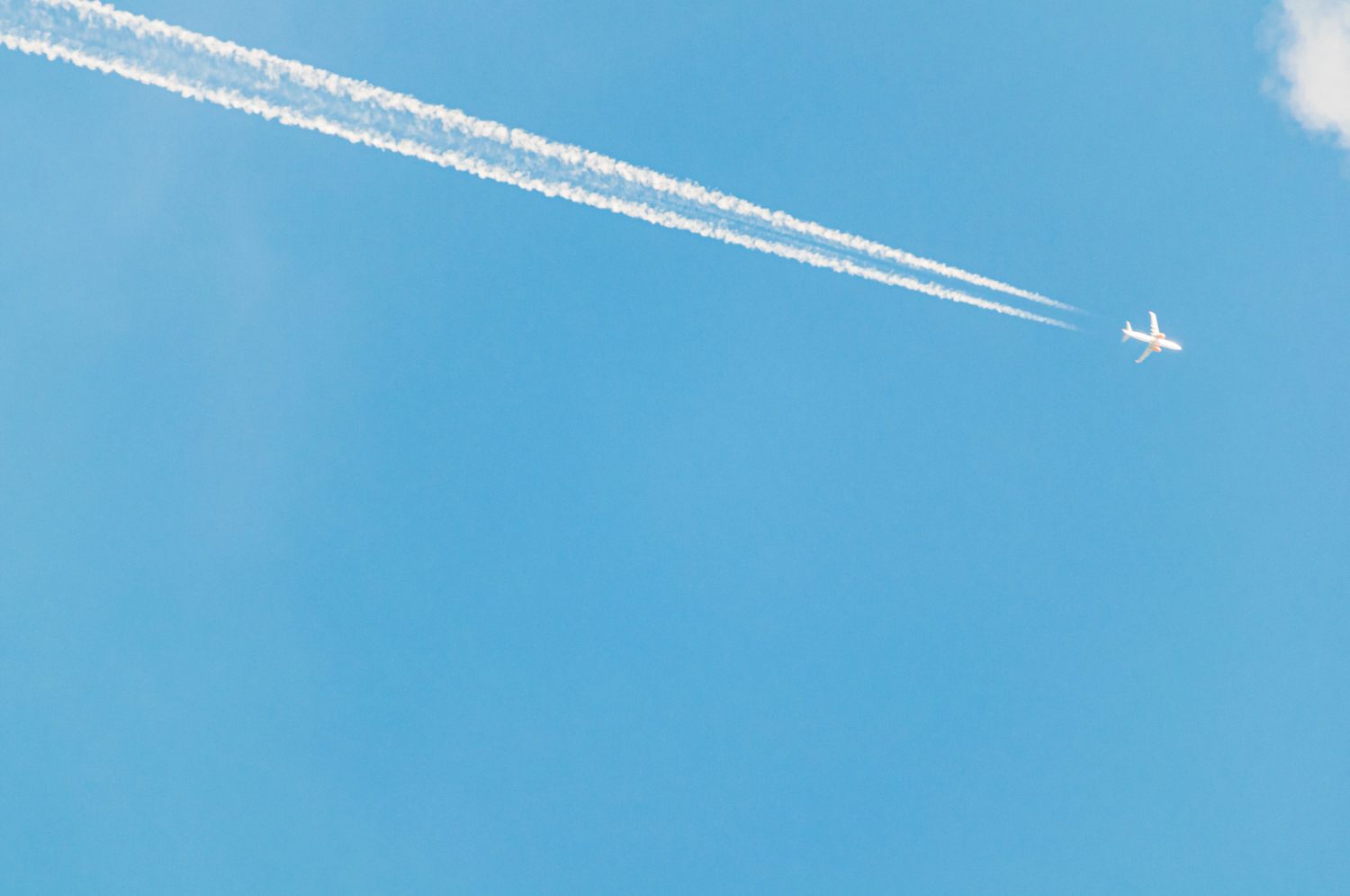 Airline giant seeks alliances for a SAF pilot plant