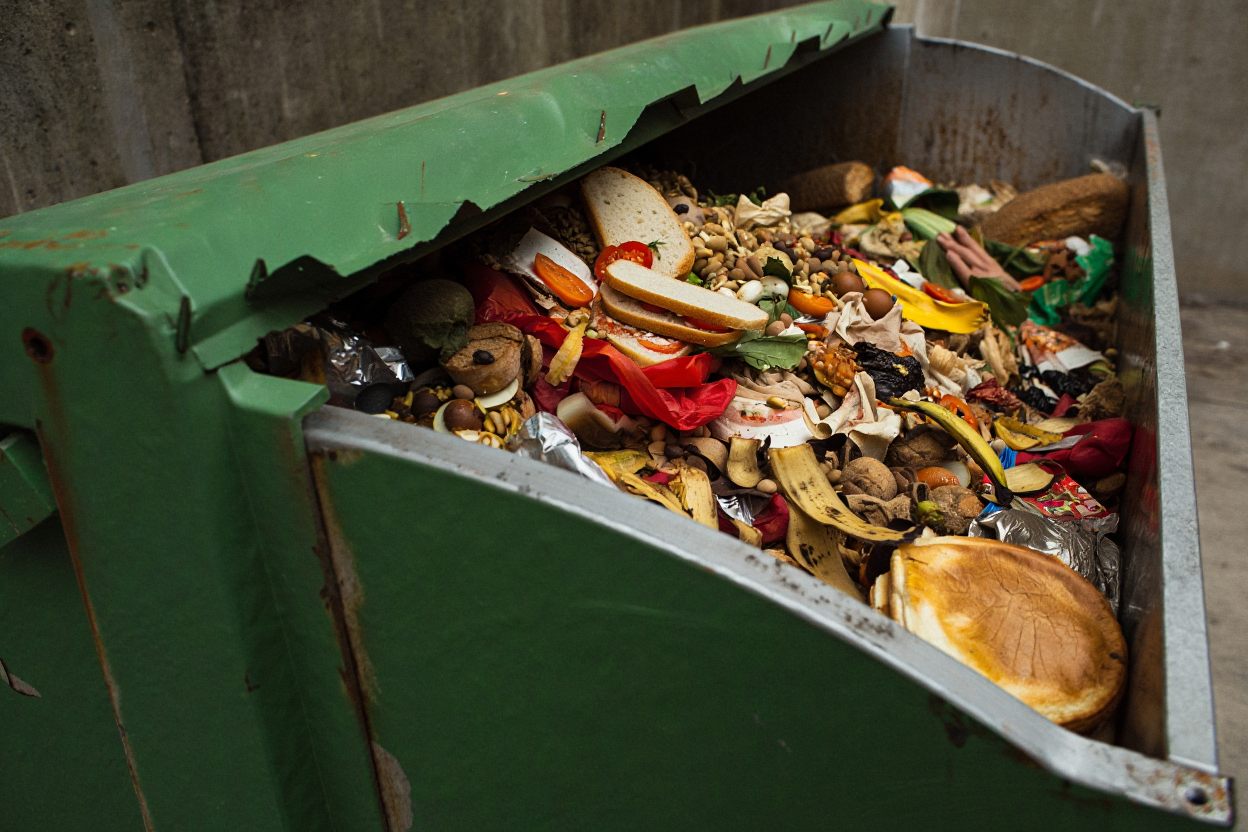 Food waste vs. biofuels